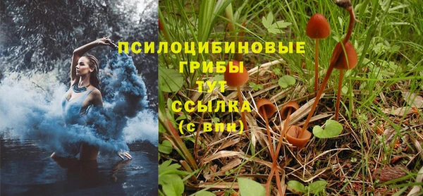 jwh Пестово
