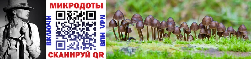 купить закладку  ОМГ ОМГ зеркало  Галлюциногенные грибы Cubensis  Благодарный 