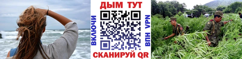 цены наркотик MEGA зеркало Канабис AK-47 Благодарный